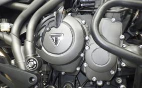 TRIUMPH TIGER 800 XR X 2019