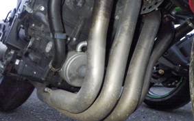 YAMAHA FZ1 FAZER 2009 RN21J