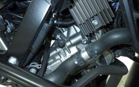 SUZUKI DL650 ( V-Strom 650 ) XTA 2022 C733A