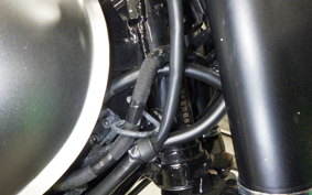 KAWASAKI W800-2ｽﾄﾘｰﾄ 2021 EJ800B