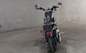 HARLEY XL1200R 2007 CV3