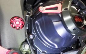 KAWASAKI NINJA 1000 A 2019 ZXT00W