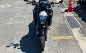 KTM 1290 SUPER DUKE R 2017 V3940