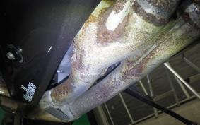 KAWASAKI ZXR750 1989 ZX750H