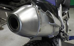 YAMAHA WR250R 2025 DG15J