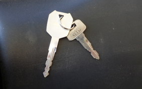 KAWASAKI NINJA 250 EX250L