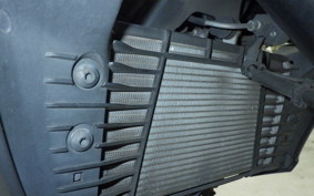 YAMAHA MT-25 A RG43J