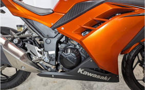 KAWASAKI NINJA 250 EX250L