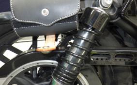 HARLEY XL1200CX 2020