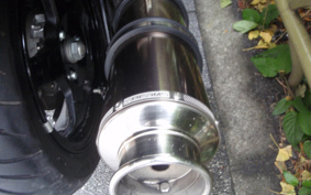 SUZUKI SKYWAVE 250SS CJ43A