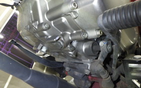 HONDA MONKEY 125 ABS 2018 JB02