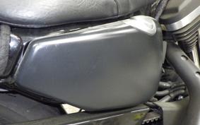HARLEY XL883N 2019
