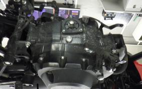 OTHER +CF PAPIO XO-1 2025