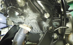 KAWASAKI Z125 PRO 2017 BR125H