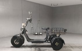 OTHER  BLAZE EV TRIKE  ..