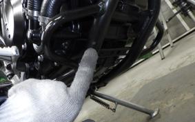 KAWASAKI KLX250D TRACKER X 2017 LX250V