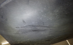 YAMAHA AXIS 125 Z 2008 SED7J