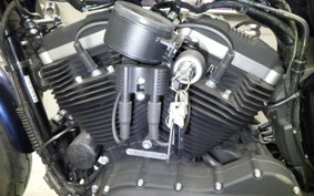 HARLEY XL883N 2015
