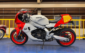 YAMAHA XSR900 GP 2024 RN96J