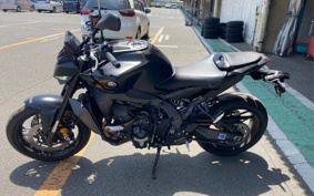 YAMAHA MT-09 ABS 2024 RN87J