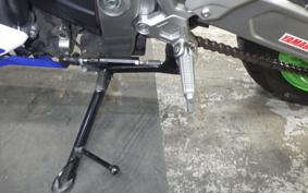 KAWASAKI ZX-4RR 2024 ZX400P