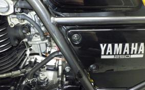 YAMAHA SRX250 51Y