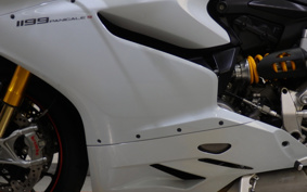 DUCATI 1199PANIGA-RES 2014 H802J