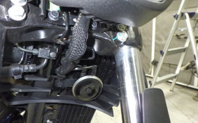 SUZUKI ｼﾞｸｻｰ250 2024 ED22Y