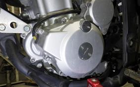 KAWASAKI KLX250 Gen.2 2024 LX250S