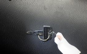 SUZUKI GF250 S GJ71C