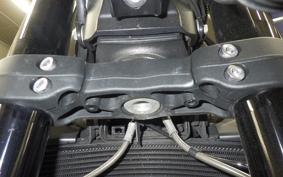 TRIUMPH STREET TRIPLE R 2021