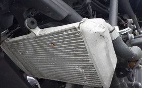 YAMAHA YZF-R25 2002 RG10J