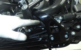 HARLEY FXLRS1920 2025