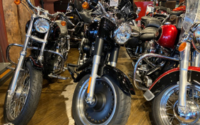 HARLEY FLSTFB 2011 JN5