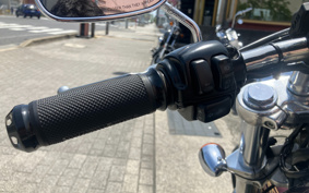 HARLEY FXDL1580 2008 GN4