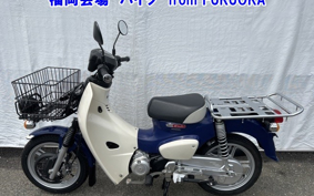 OTHER C110-4