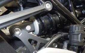 KAWASAKI Z900RS 2023 ZR900K