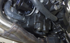 YAMAHA FZ1 FAZER 2009 RN21J