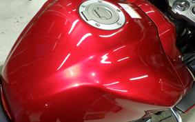 YAMAHA FZ1 FAZER 2010 RN21J