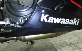 KAWASAKI NINJA 250 2019 EX250P