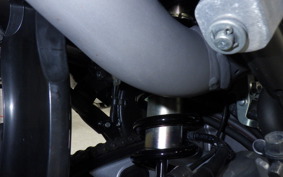 HONDA CRF250 RALLY LDA MD44