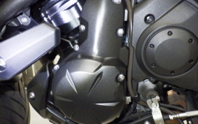 KAWASAKI VERSYS A 2024 LE650H