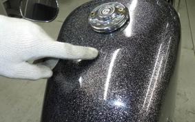 HARLEY XL883LI 2016