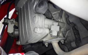 HONDA GYRO CANOPY 2024 TA03