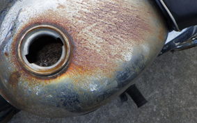 OTHER +UNREGISTERED MODEL by BDS50