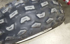 YAMAHA YF350Z 2024 3GG