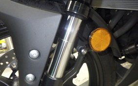 YAMAHA YZF-R25 2025 RG43J