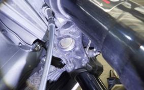 DUCATI DIAVEL Stripe 2014