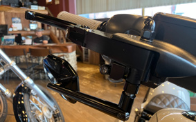 HARLEY FLFB 2025 YF9