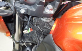 KAWASAKI Z250 2026 ER250C